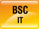 BSC (CS/IT)